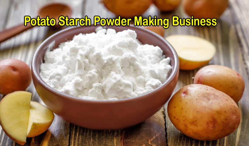 potato-starch-making-business